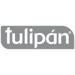 Tulipan